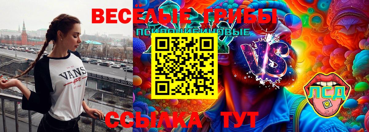 Псилоцибиновые грибы Psilocybine cubensis  закладки  Троицк  Вход с VPN 
