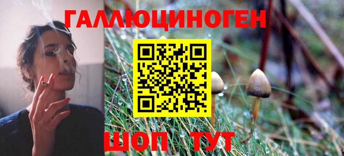 Псилоцибиновые грибы мухоморы Троицк